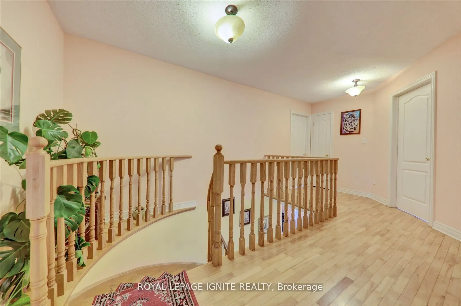 38 Rodda Boulevard