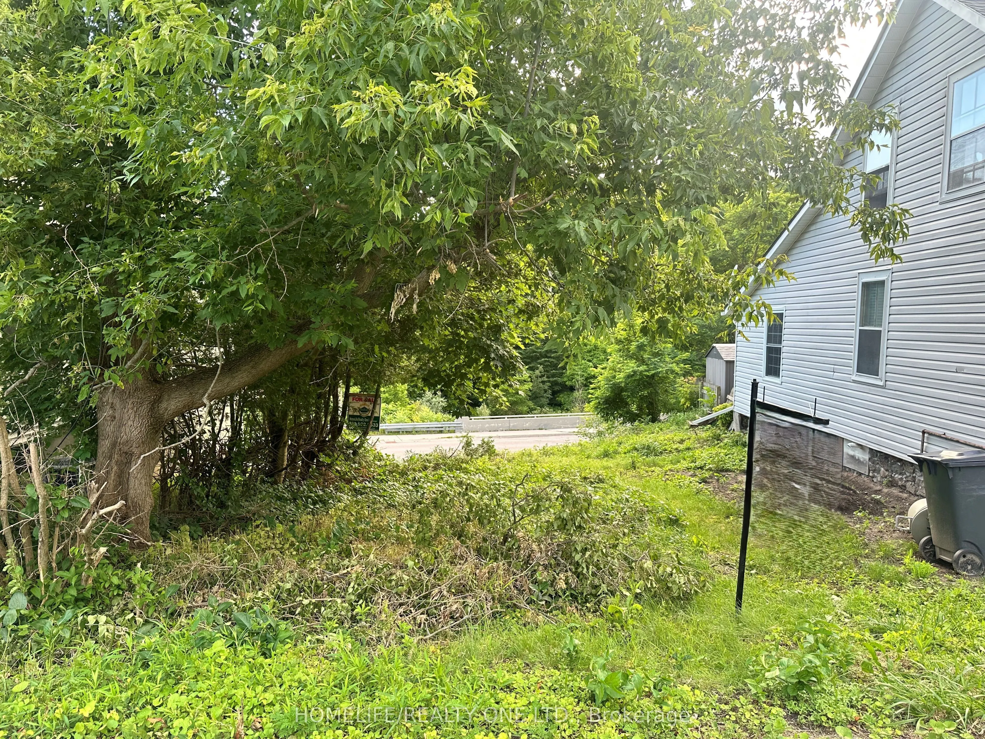 16 Mill Street