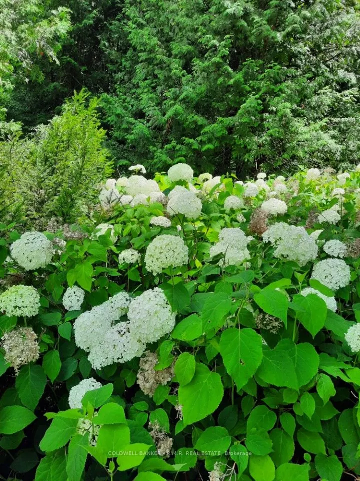 4627 Ganaraska Road, #Lot 5