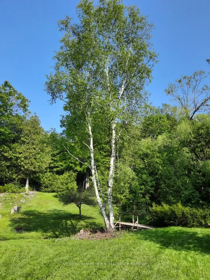 4627 Ganaraska Road, #Lot 5