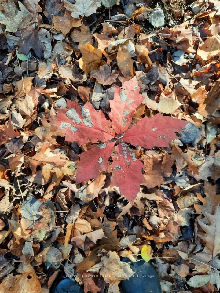 4627 Ganaraska Road, #Lot 5