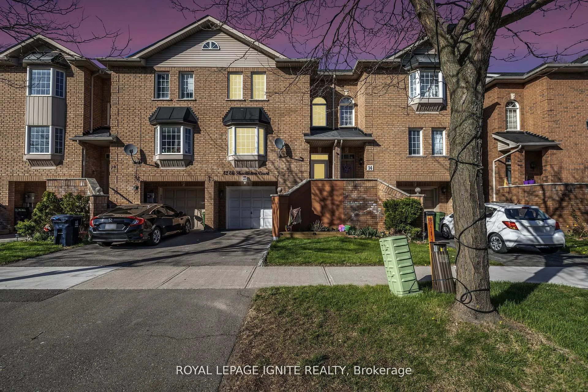 12 Eli Shackleton Court