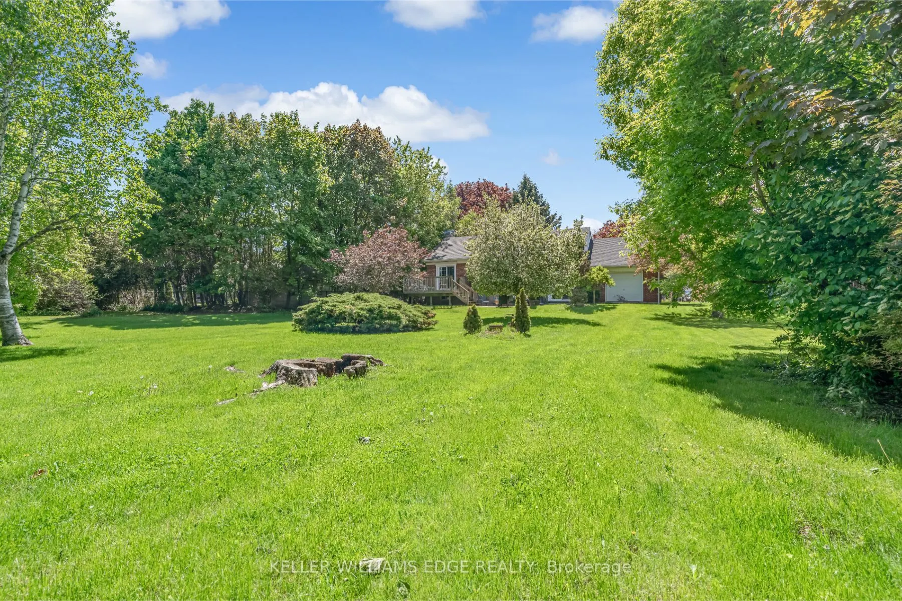 41 McNab Boulevard