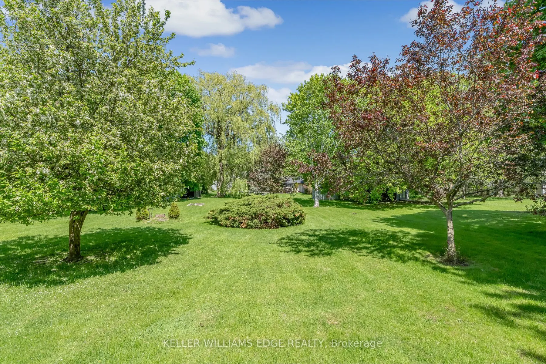 41 McNab Boulevard
