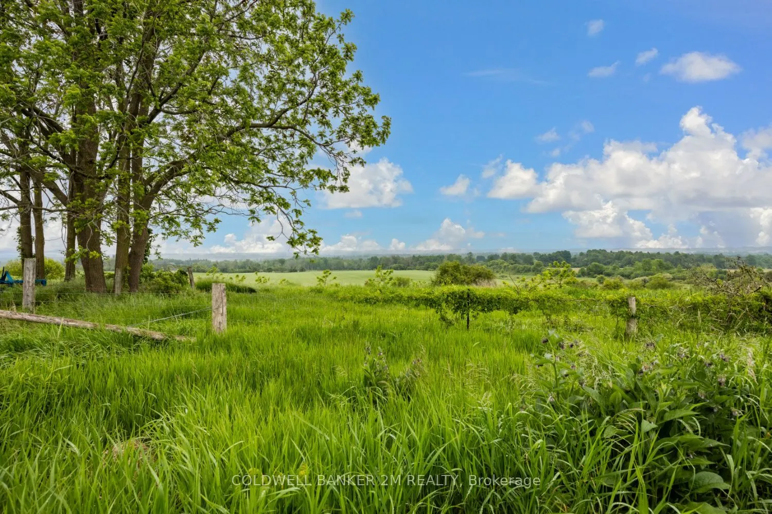12855 Old Simcoe Road