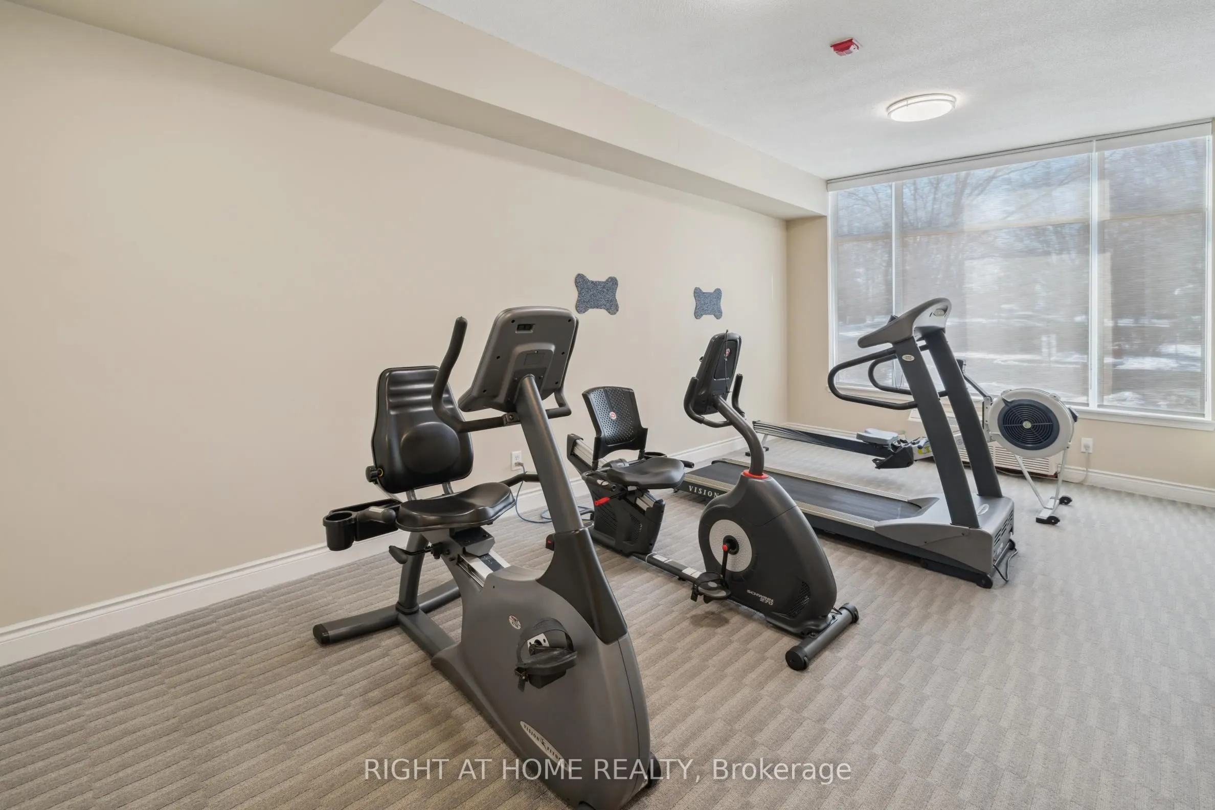 171 Shanly Street, #205