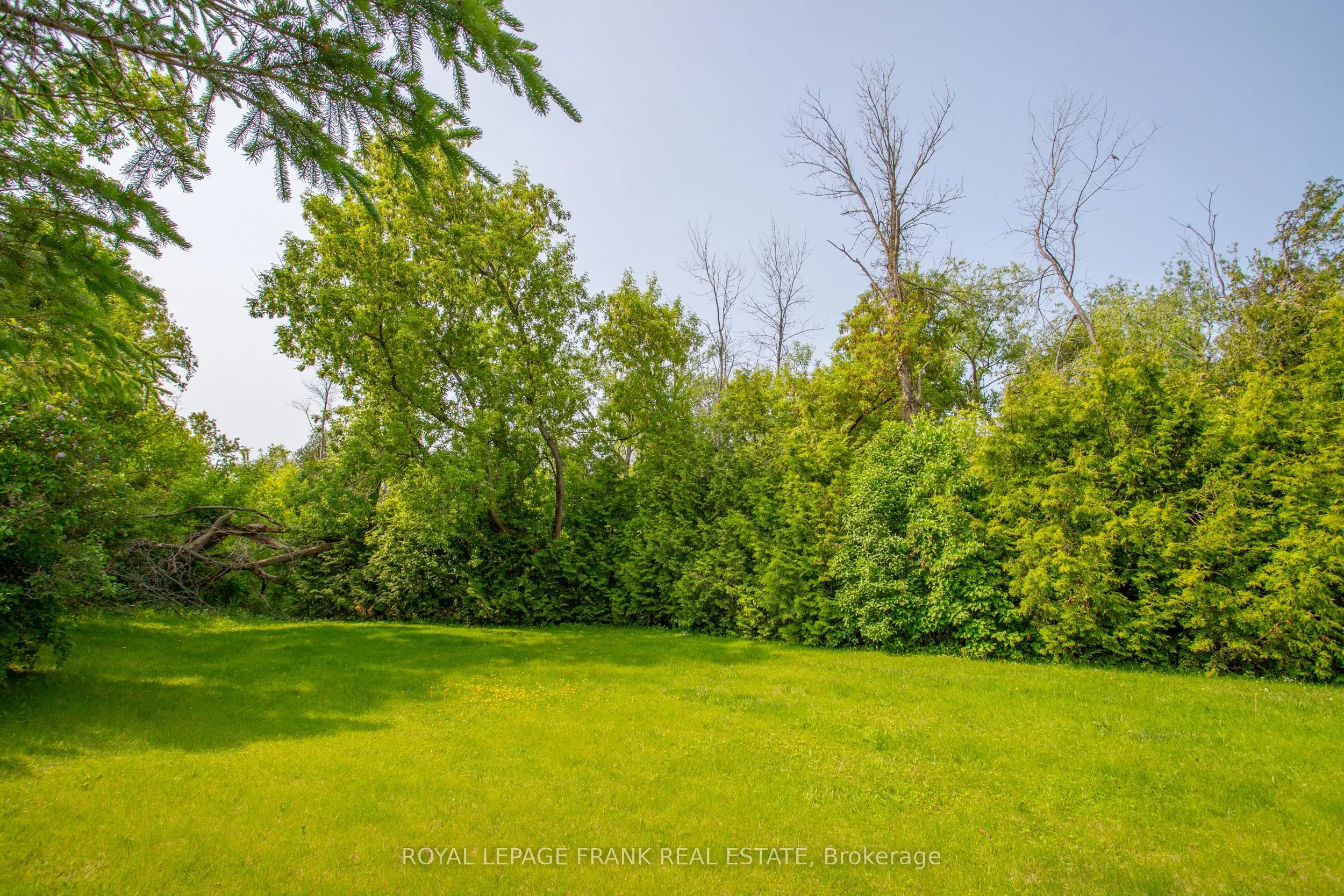3818 Regional Road
