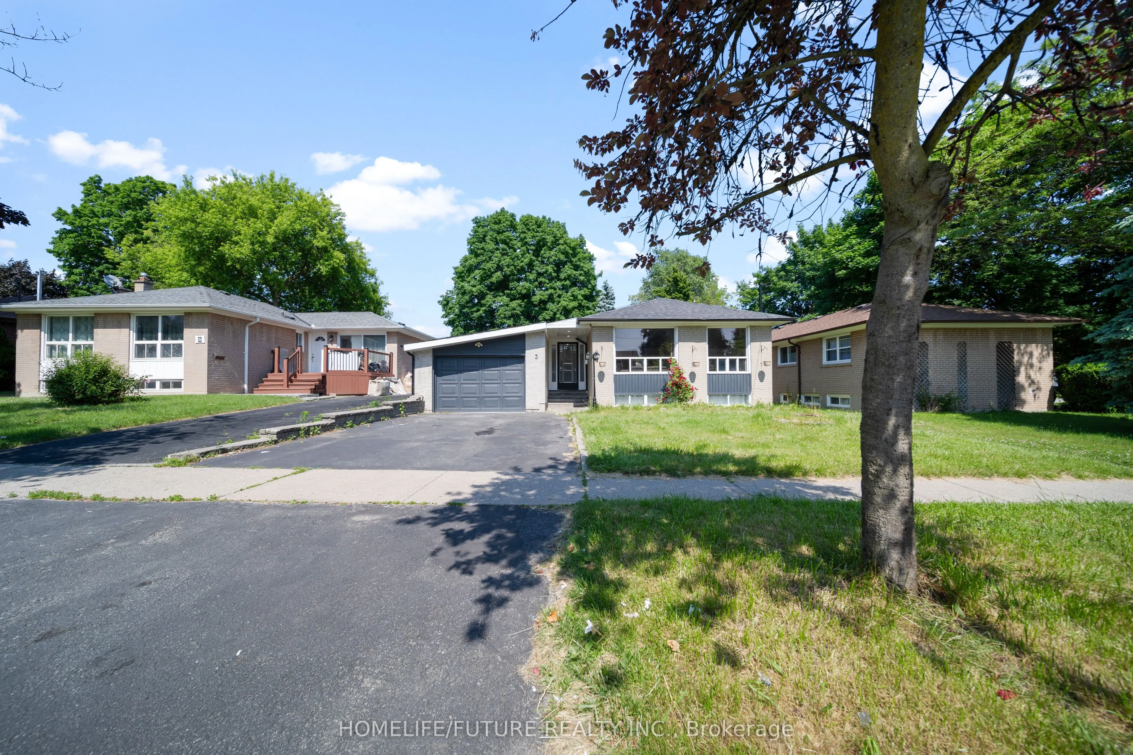 3 Valia Road, #Bsmt