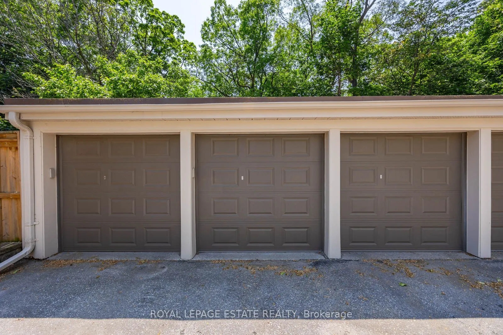 21 Benlamond Avenue, #4