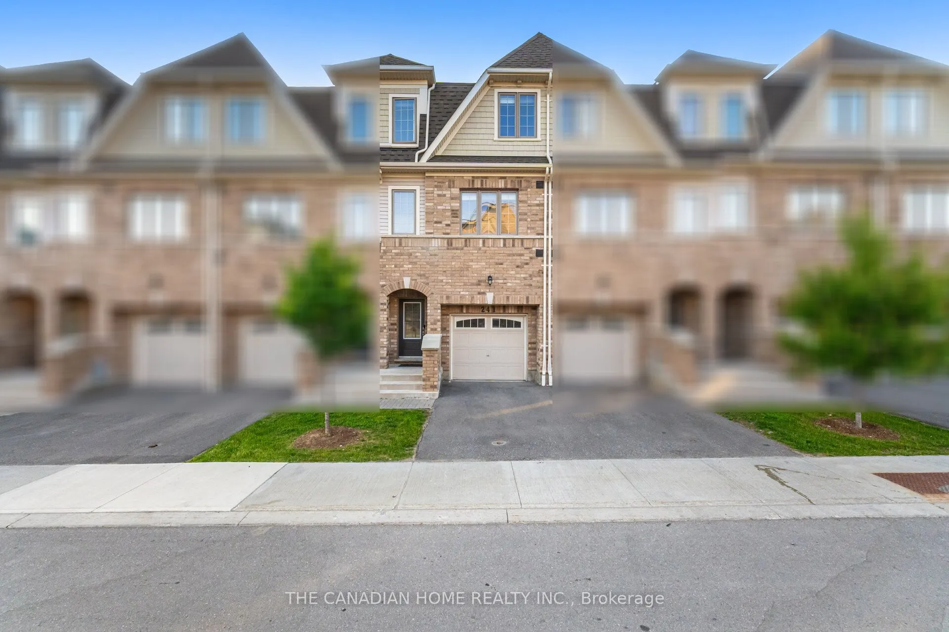 241 DANZATORE Path #28