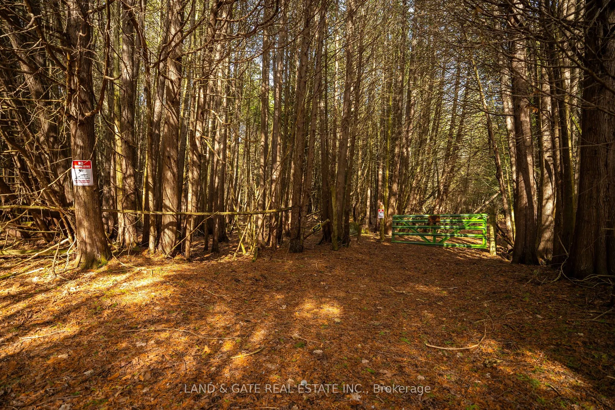 9015 Mosport Road