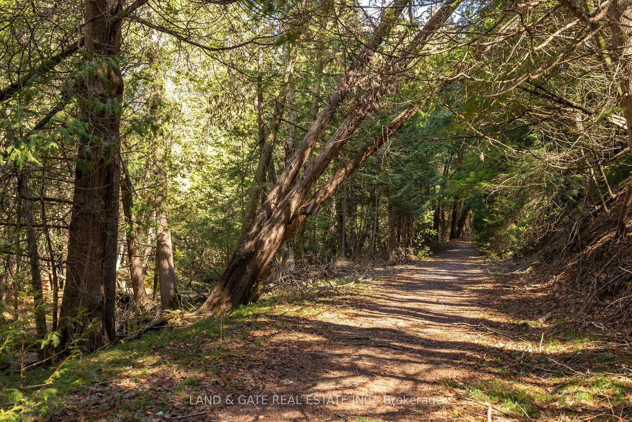9015 Mosport Road