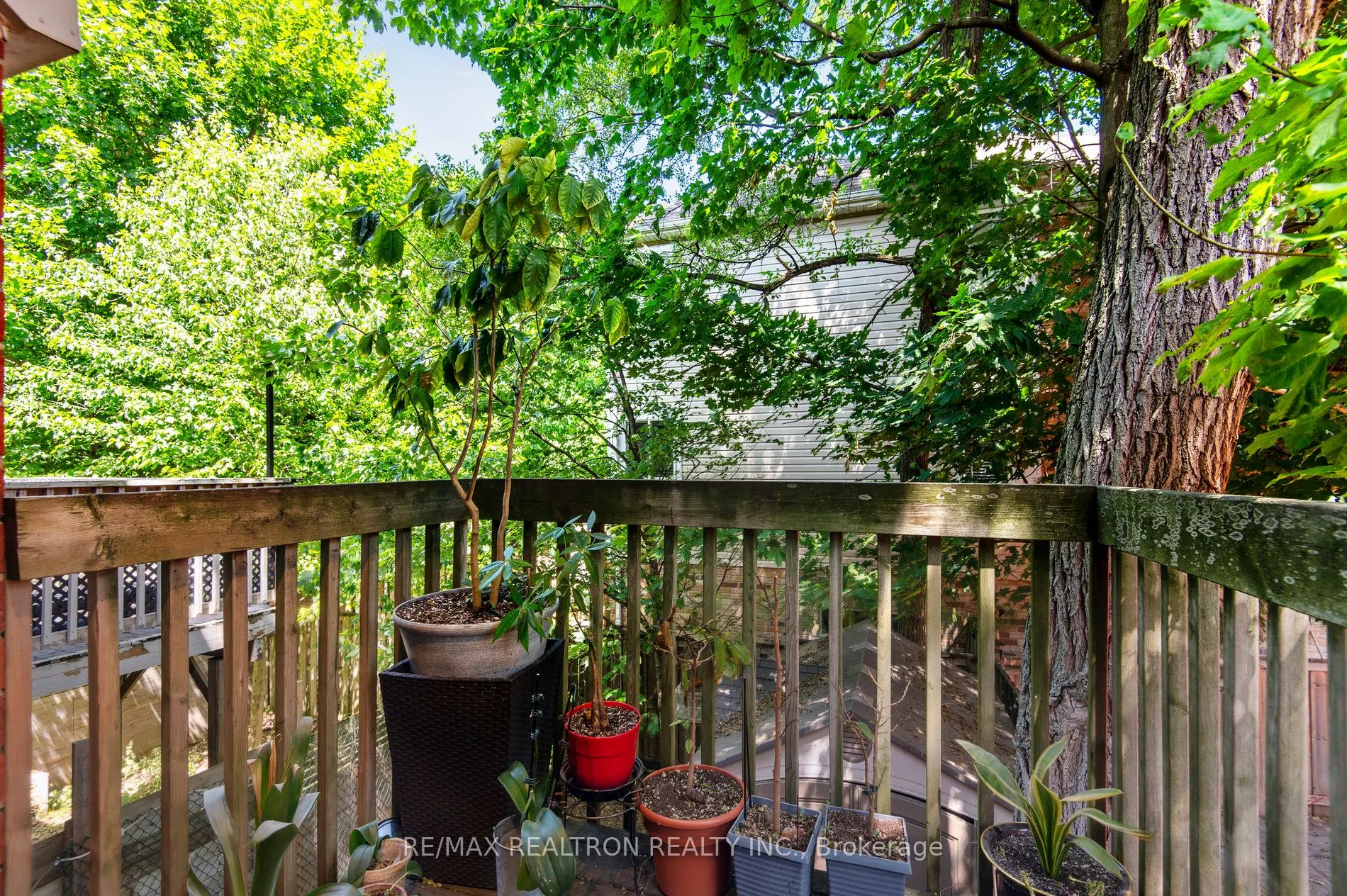 145 Homestead Road
