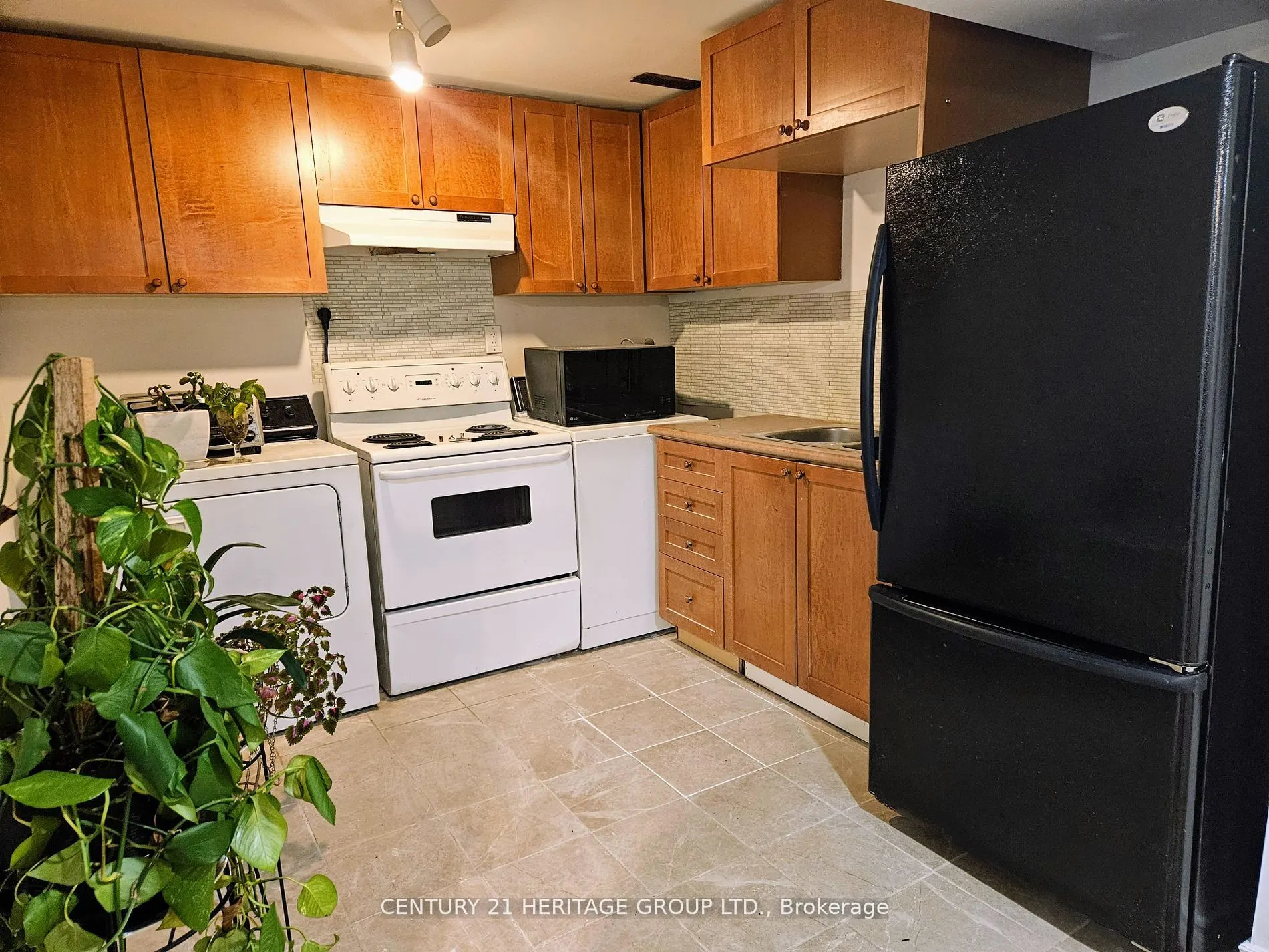 6 Dingley Court, #Bsmt