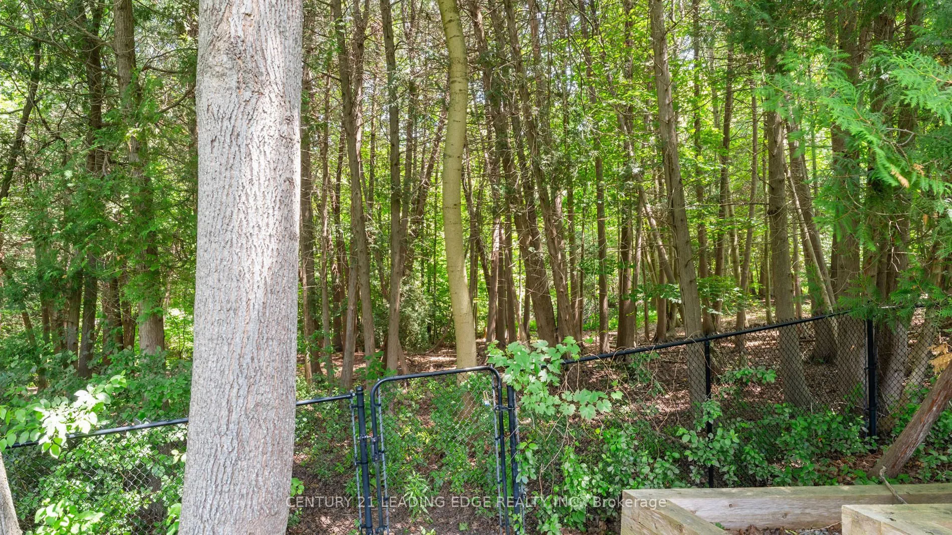 3295 Tooley Road