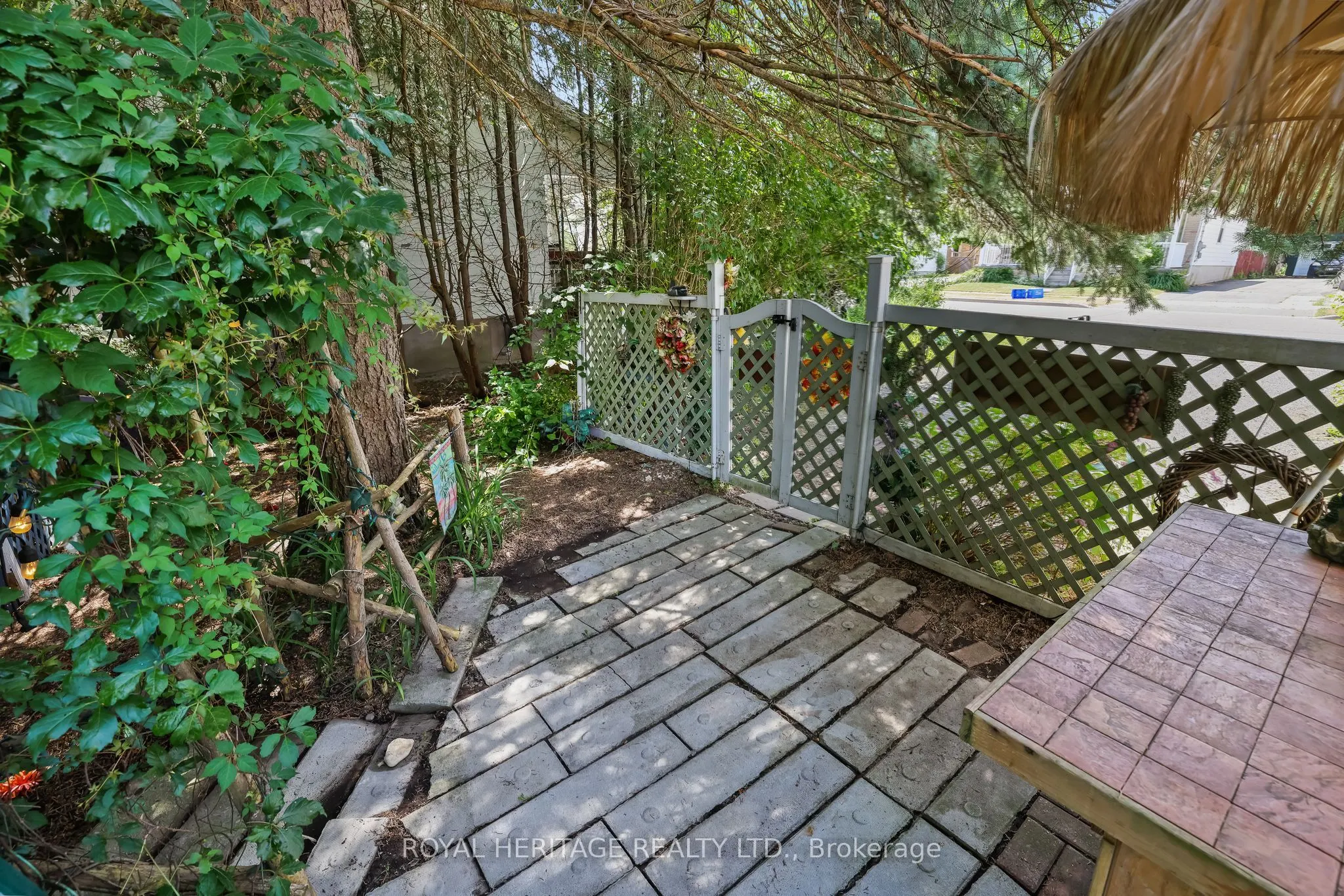 115 Elgin Street