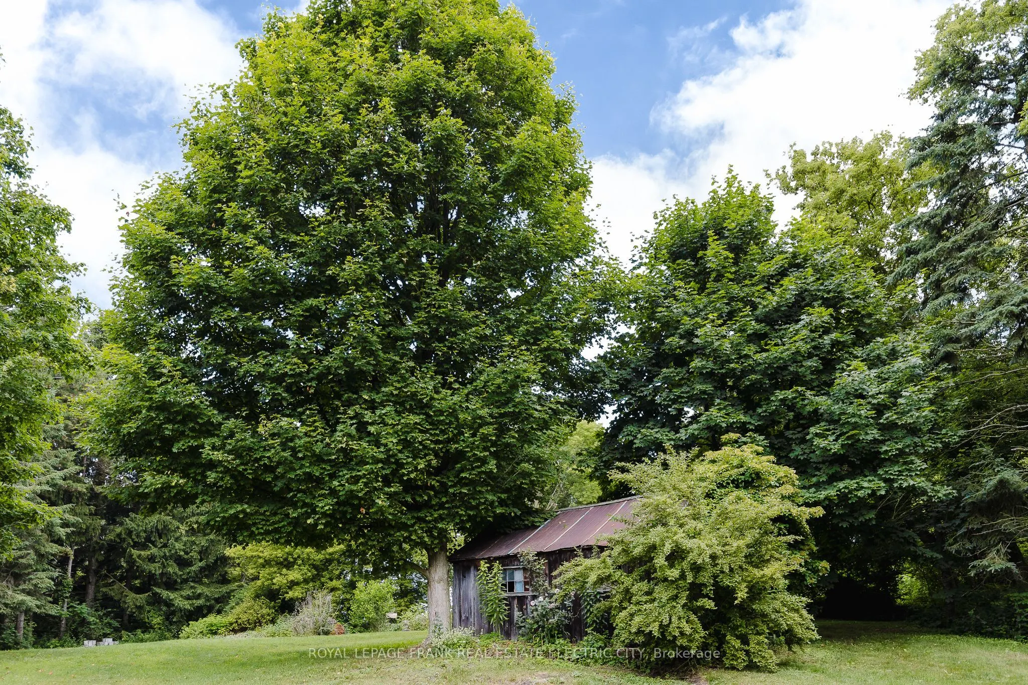 4242 Cedar Valley Road