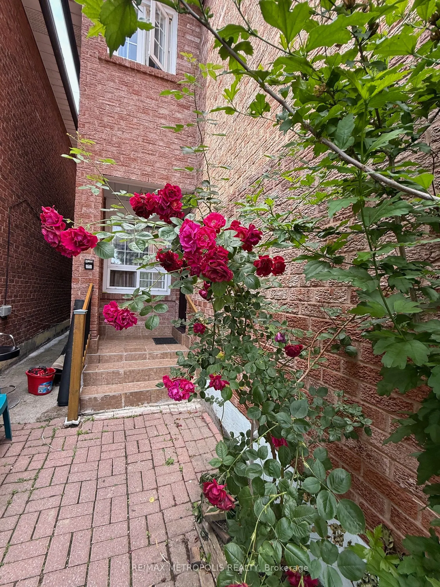 46 Albion Avenue