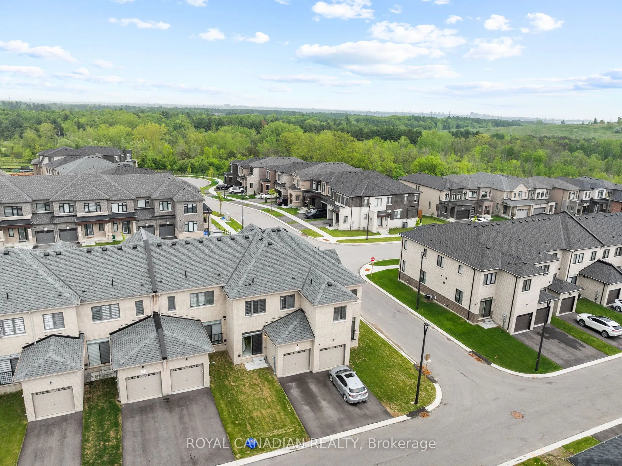 2670 Delphinium Trail