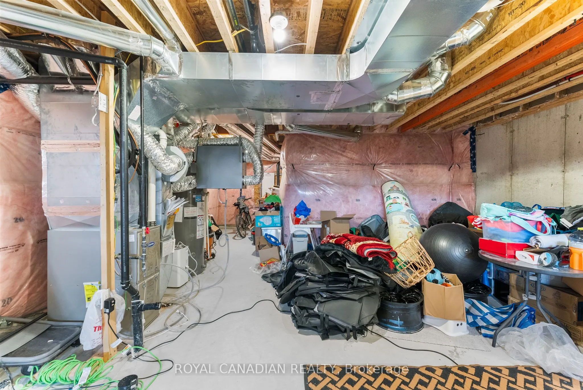 2670 Delphinium Trail