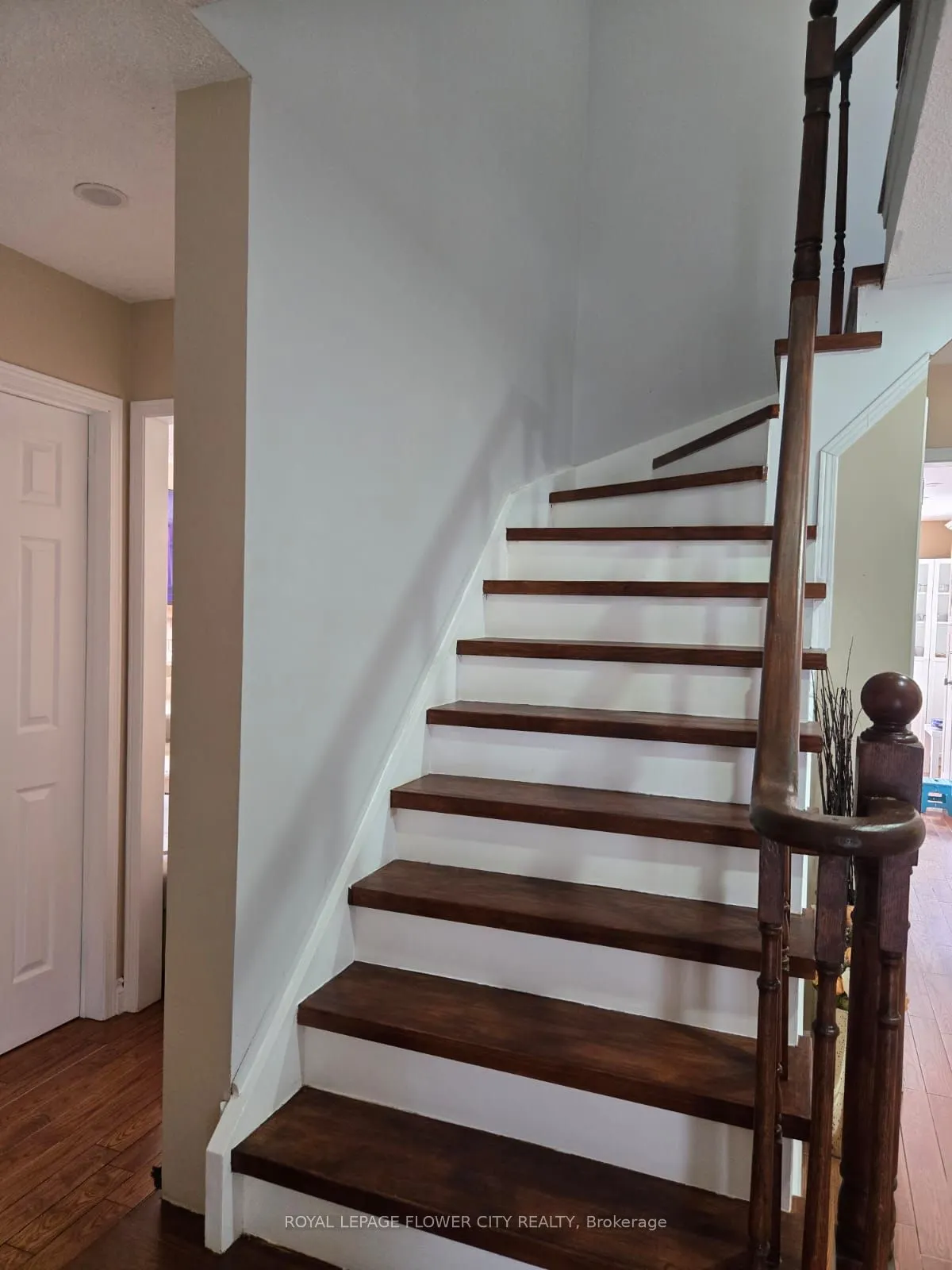 11 Murkar Crescent
