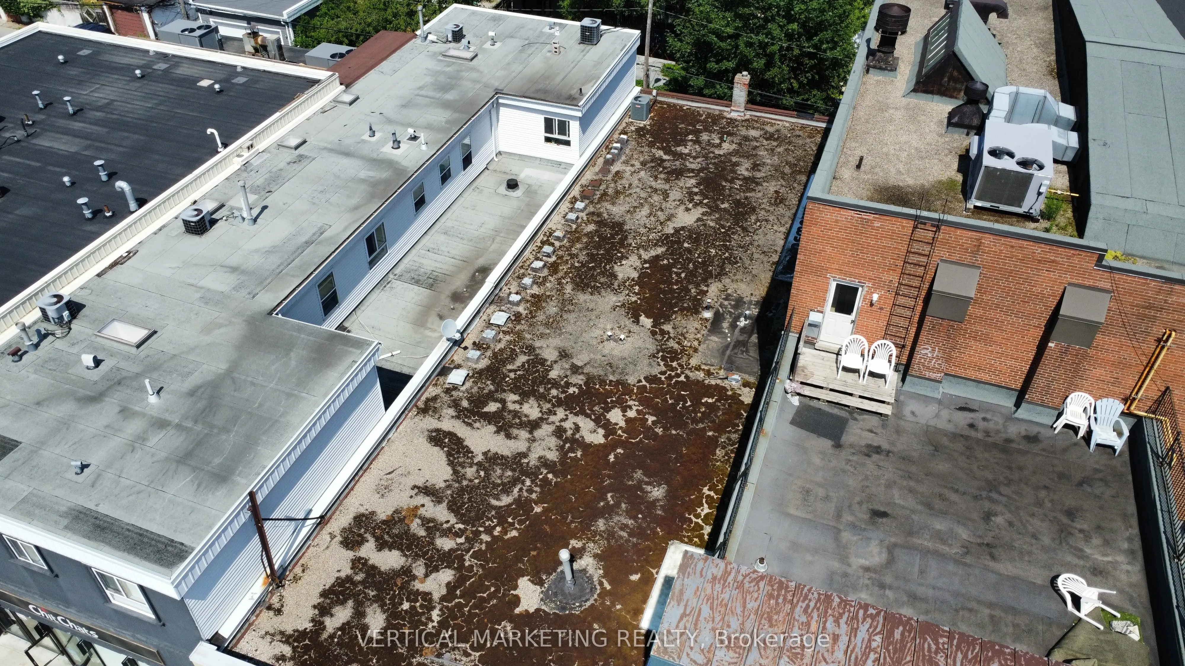 399 Donlands Avenue