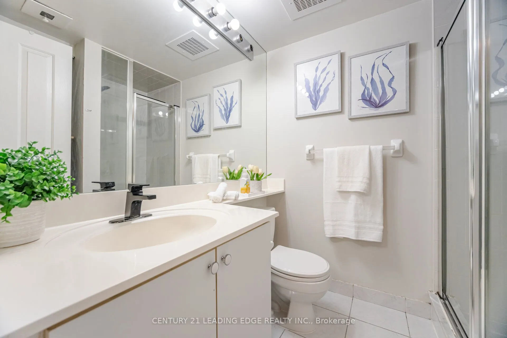 68 Corporate Drive, #2729