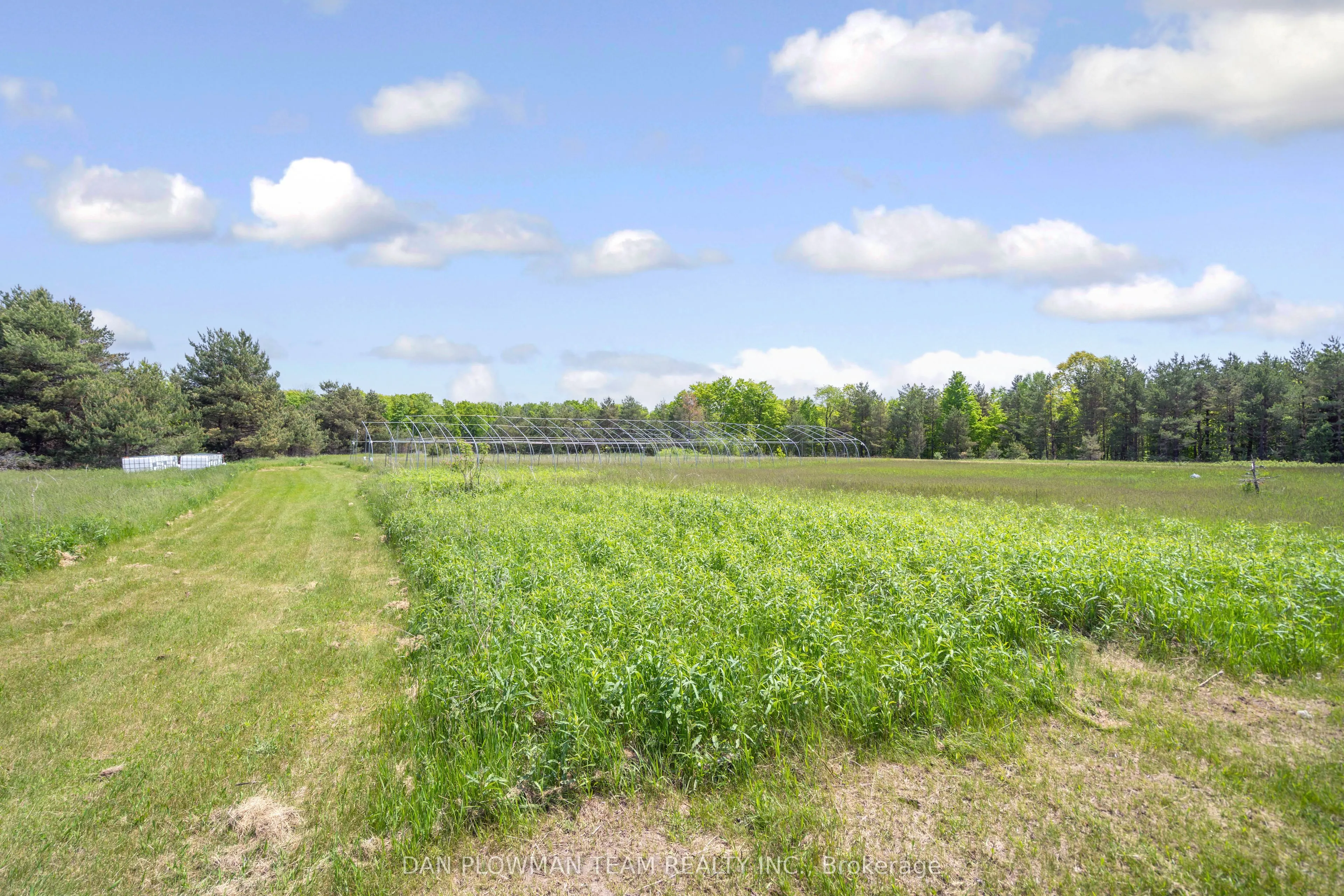 3221 Regional Road 20 Road