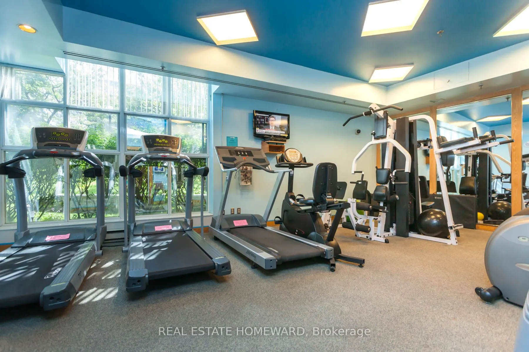 1093 Kingston Rd Avenue, #409
