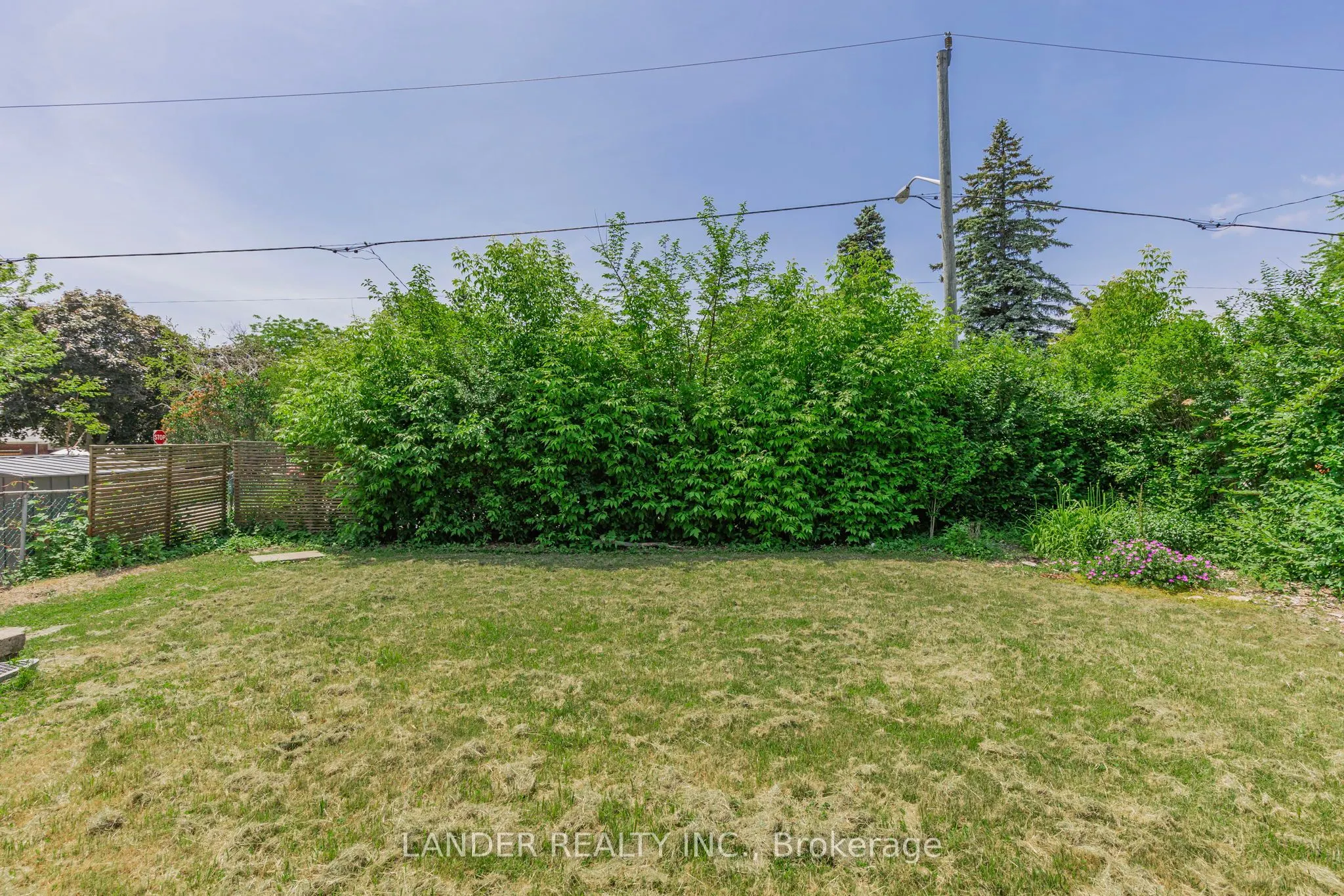 80 Minerva Avenue