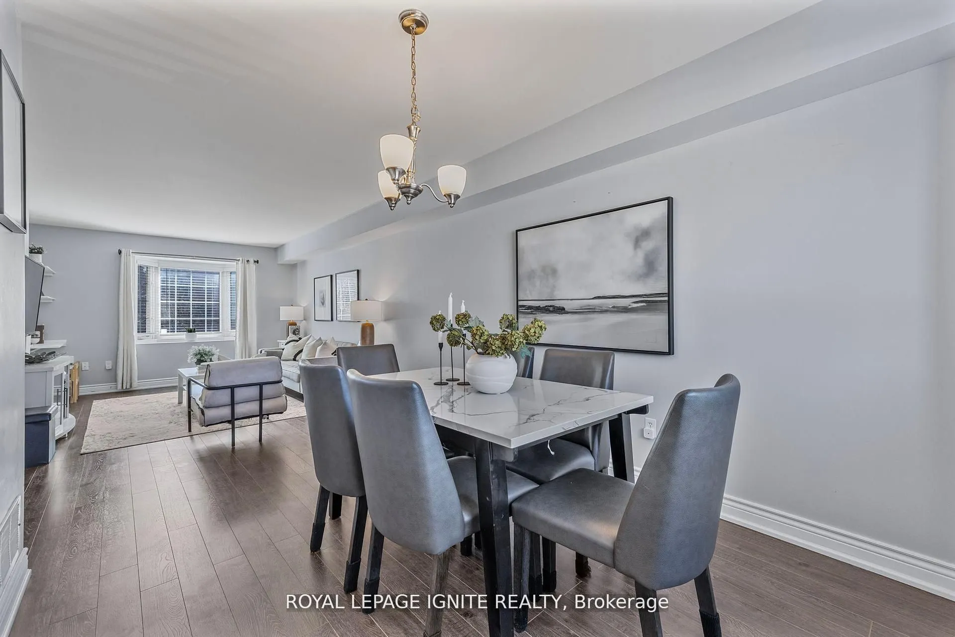 12 Eli Shackleton Court