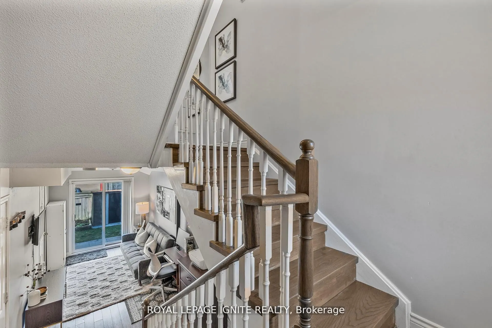 12 Eli Shackleton Court