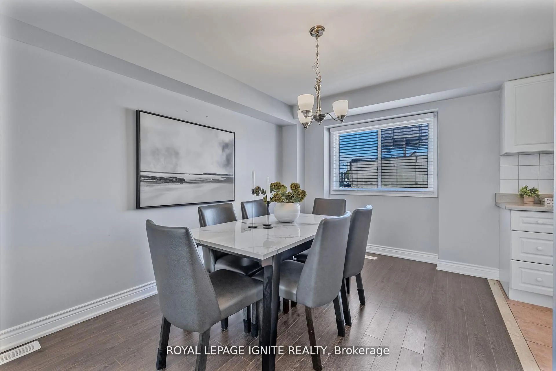 12 Eli Shackleton Court