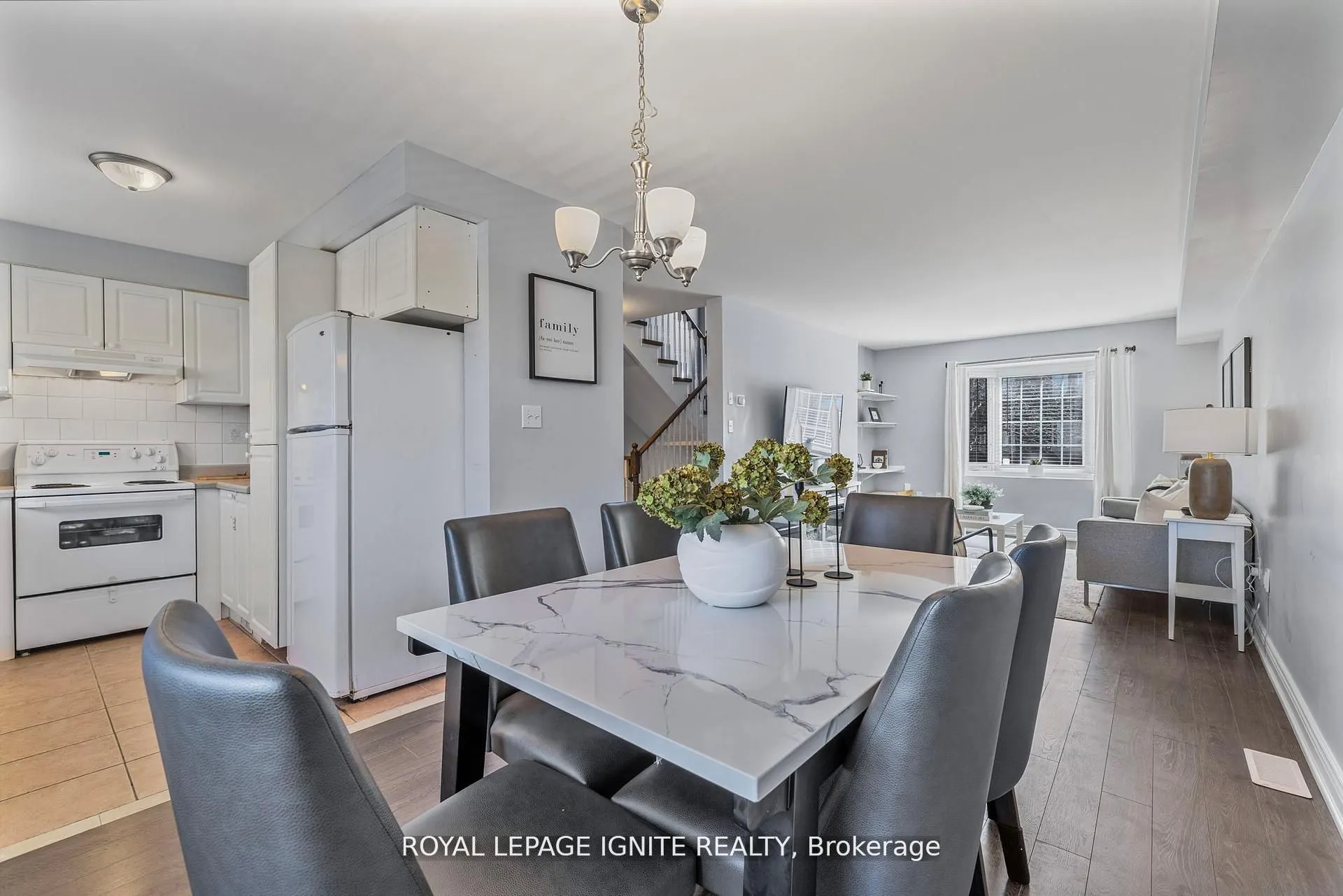 12 Eli Shackleton Court