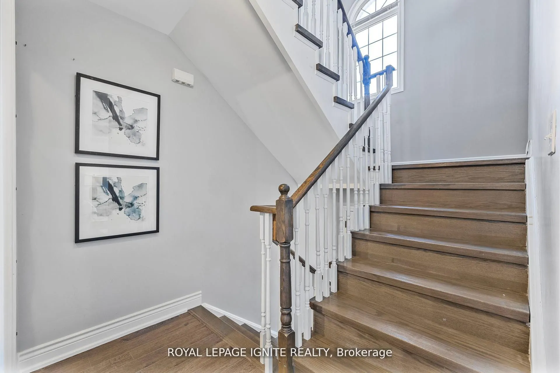 12 Eli Shackleton Court