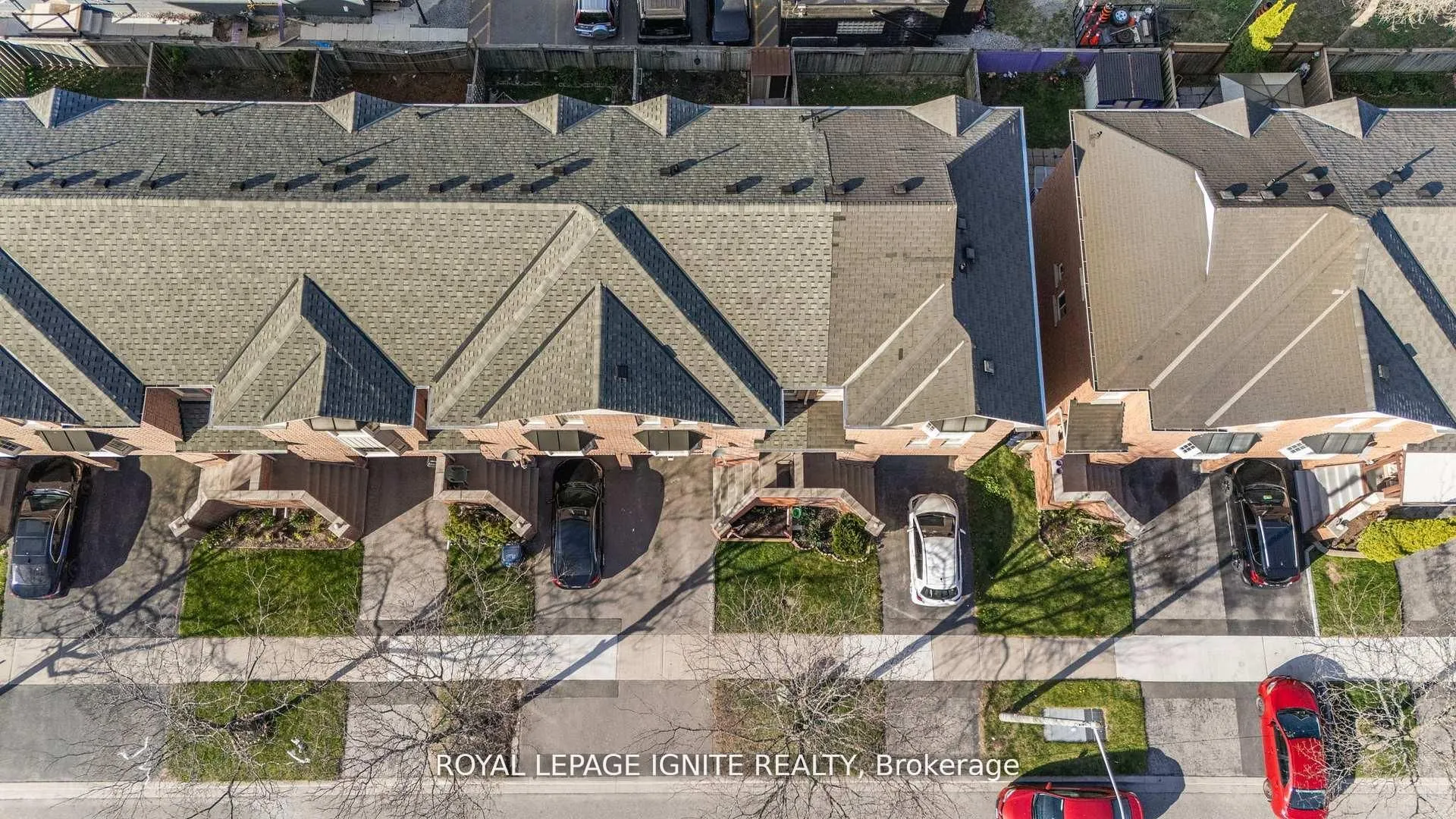 12 Eli Shackleton Court