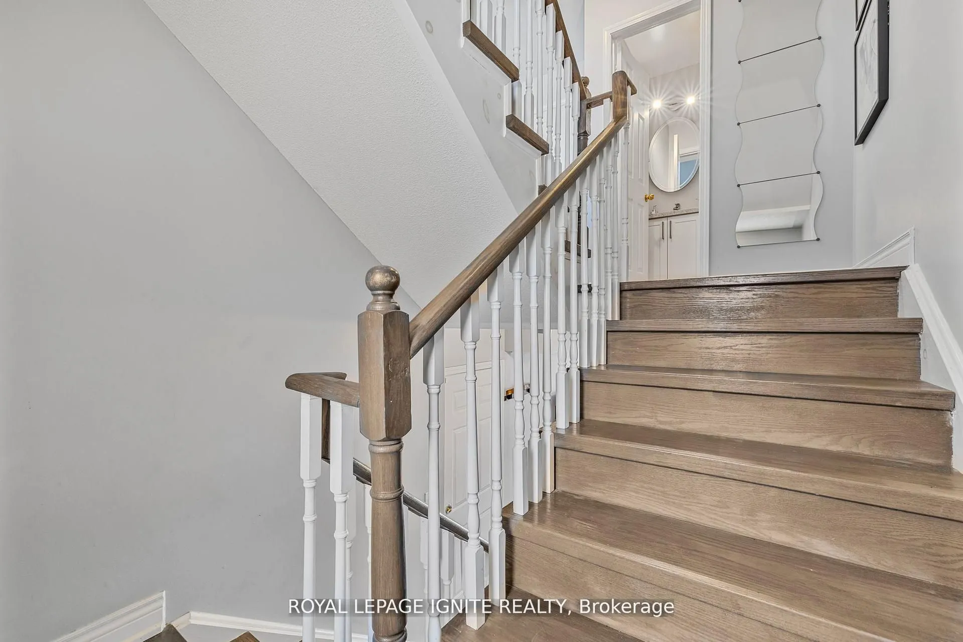 12 Eli Shackleton Court