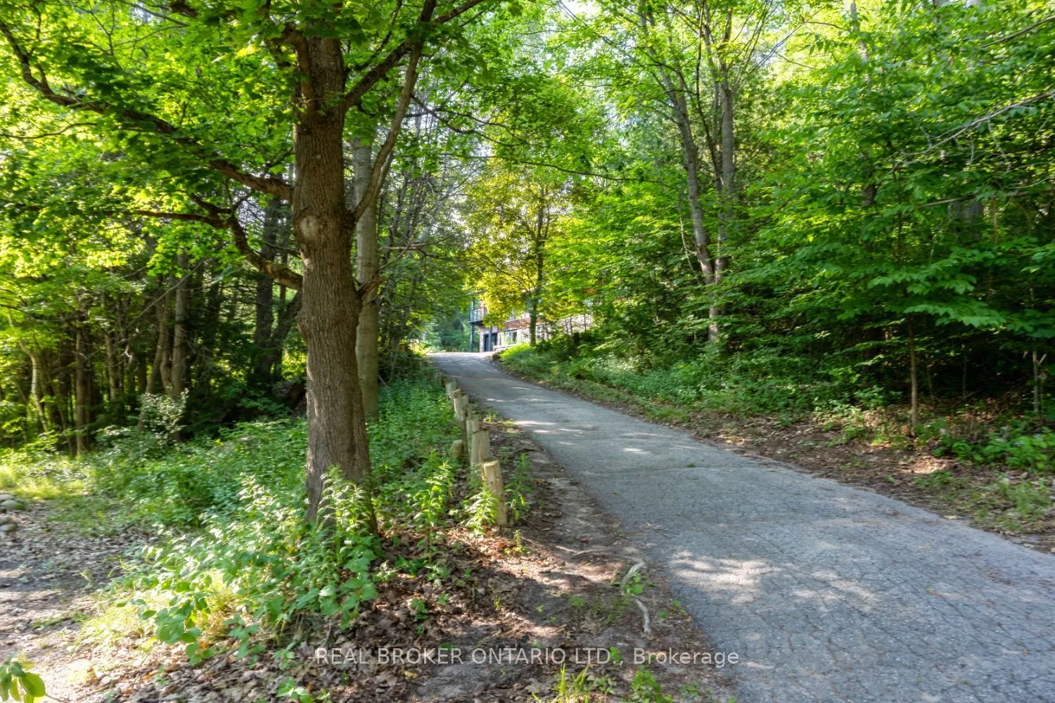 4204 Concession Road 8