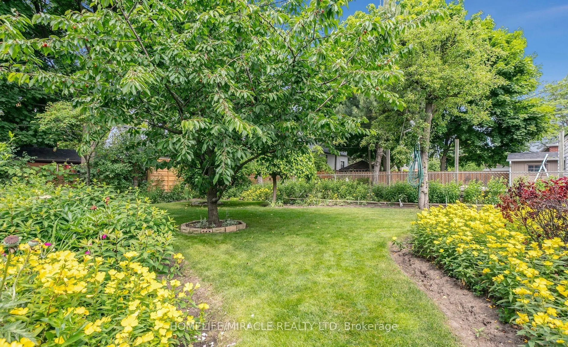 978 Pharmacy Avenue, #Bsmt