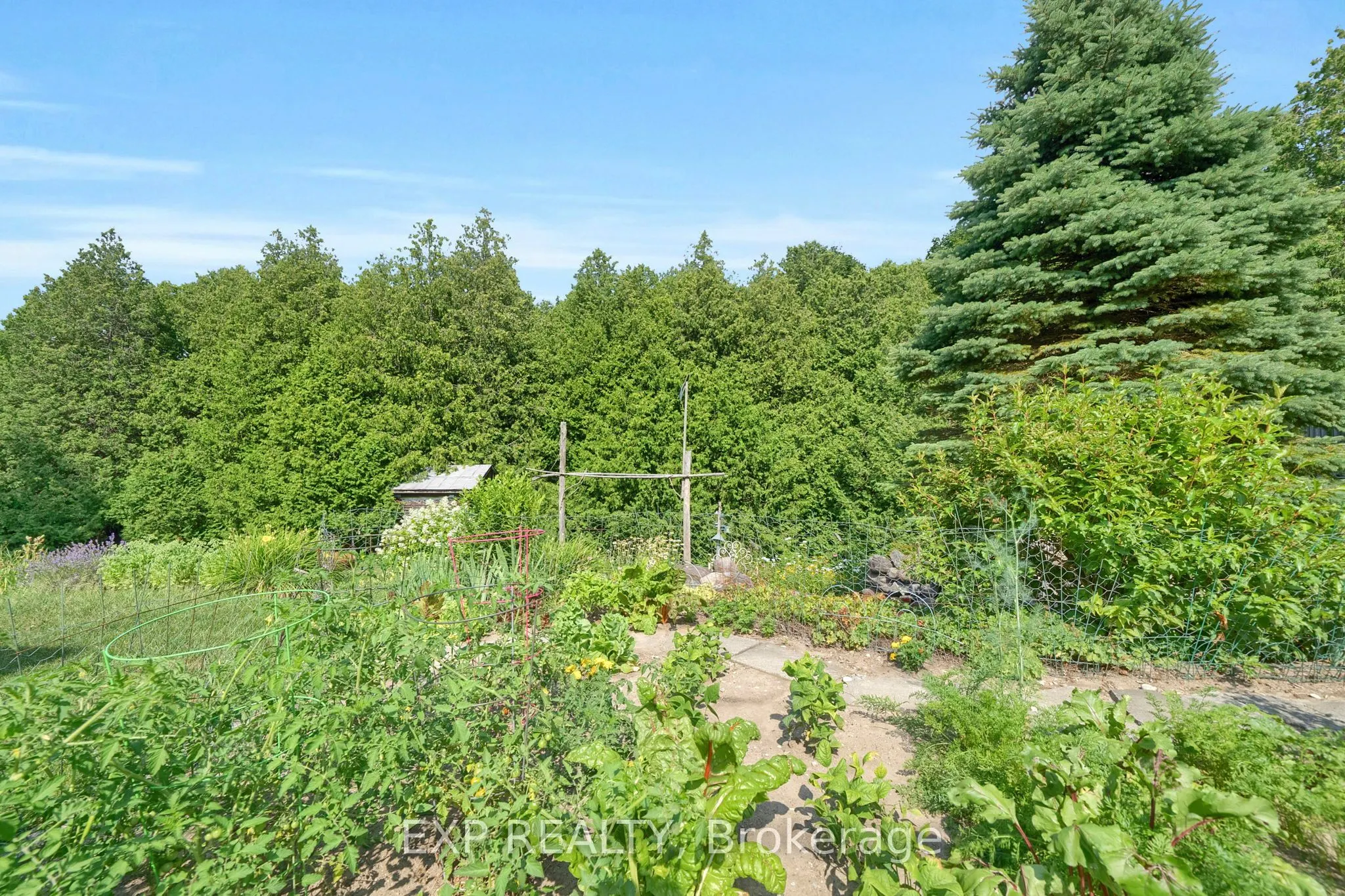 3253 Tooley Road