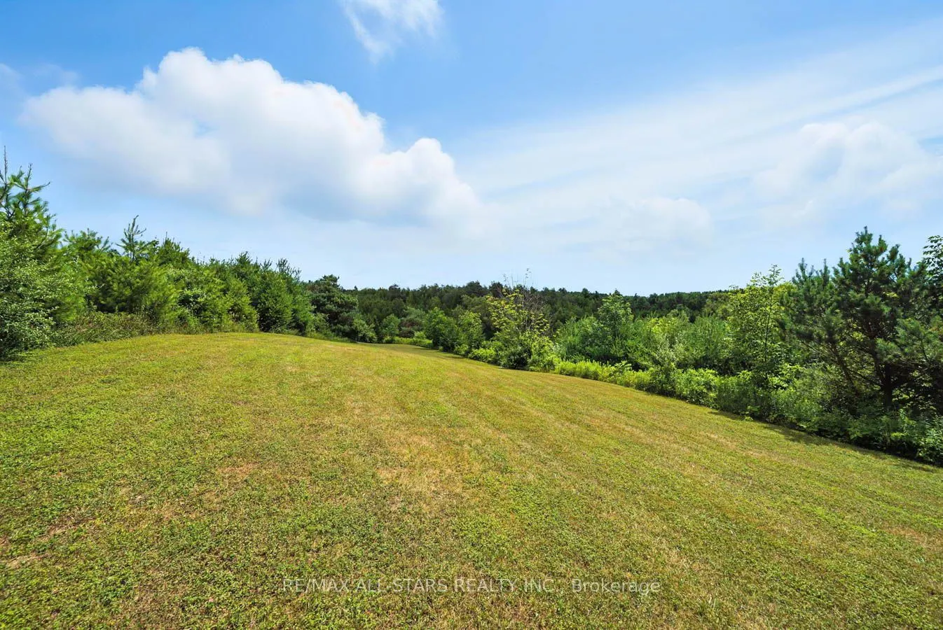 8287 Allin Road