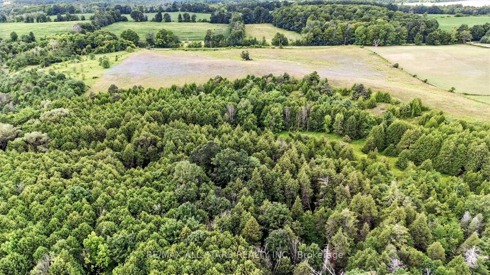 8287 Allin Road