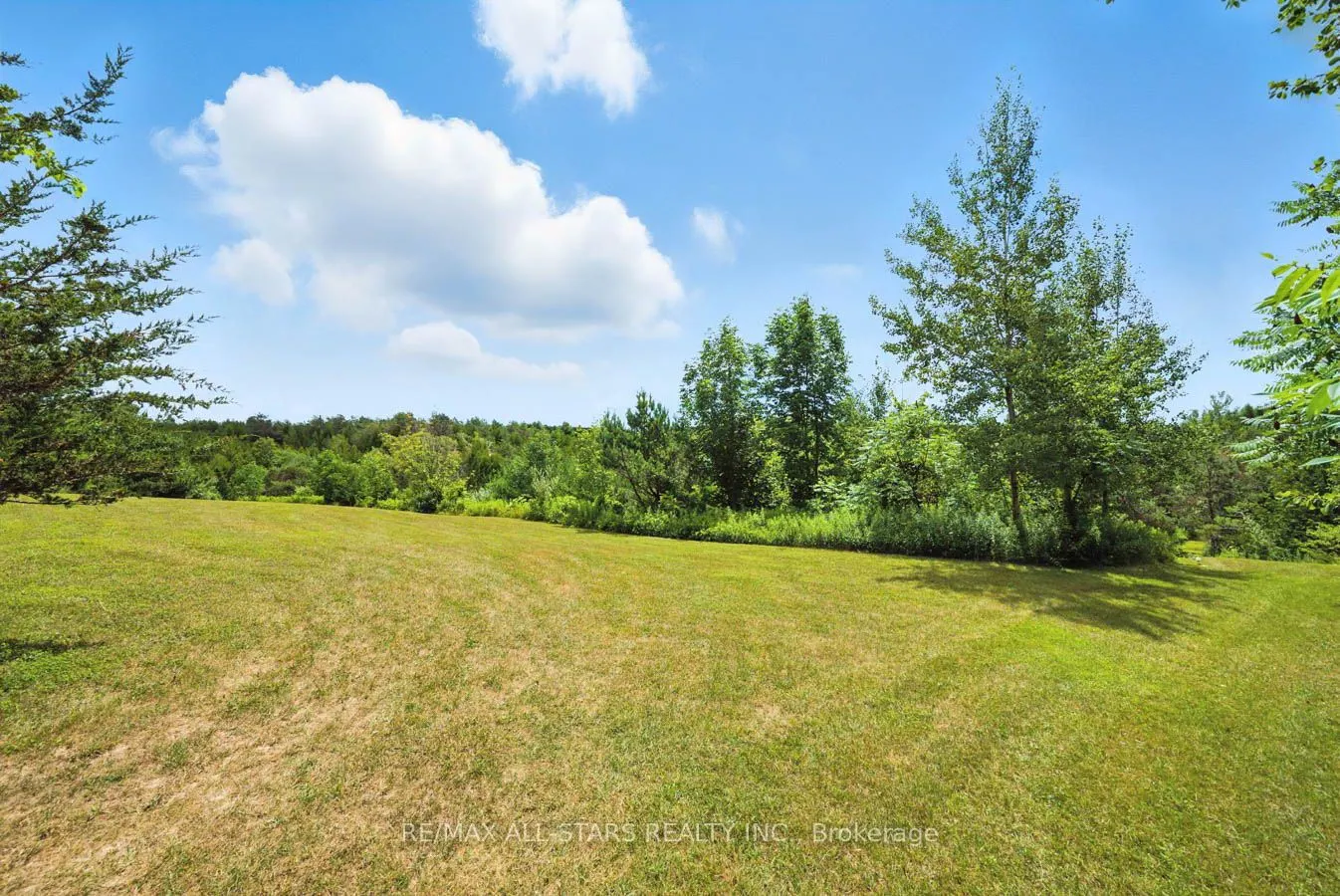 8287 Allin Road