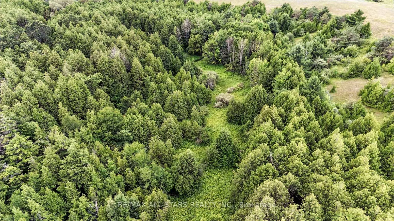 8287 Allin Road