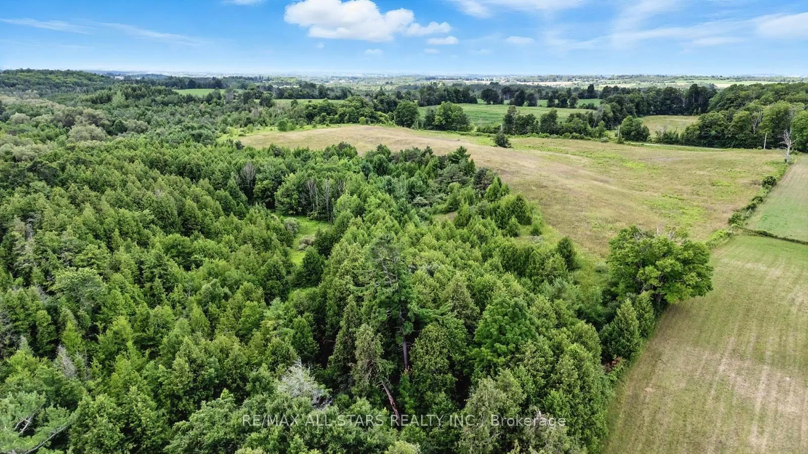 8287 Allin Road
