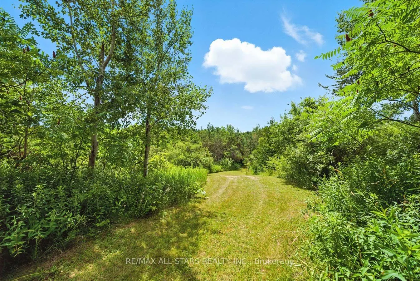 8287 Allin Road