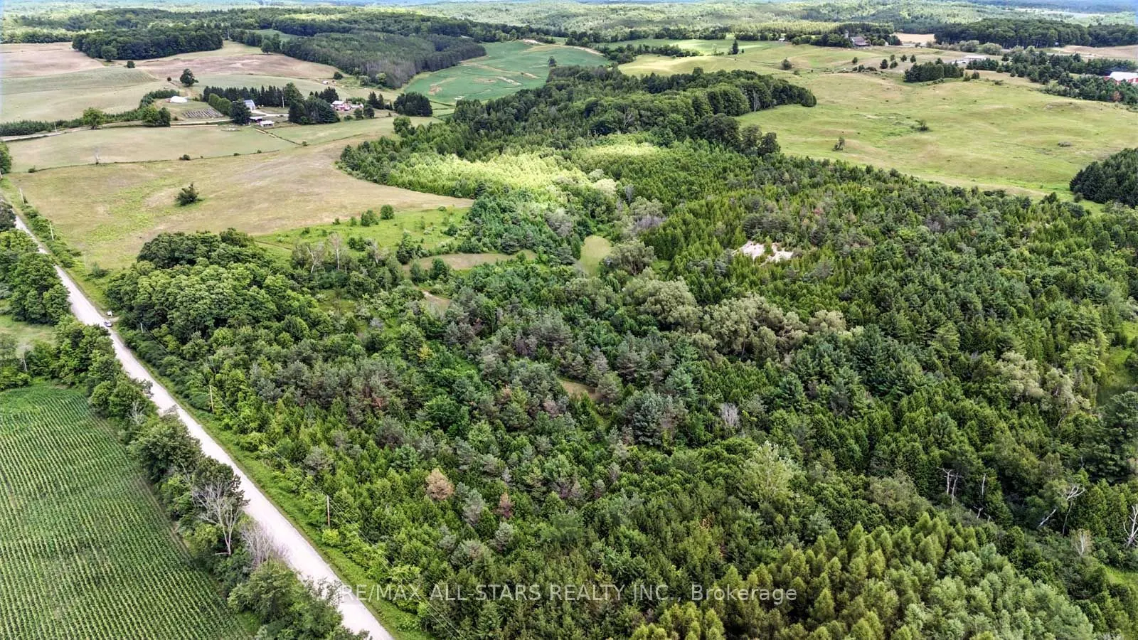 8287 Allin Road
