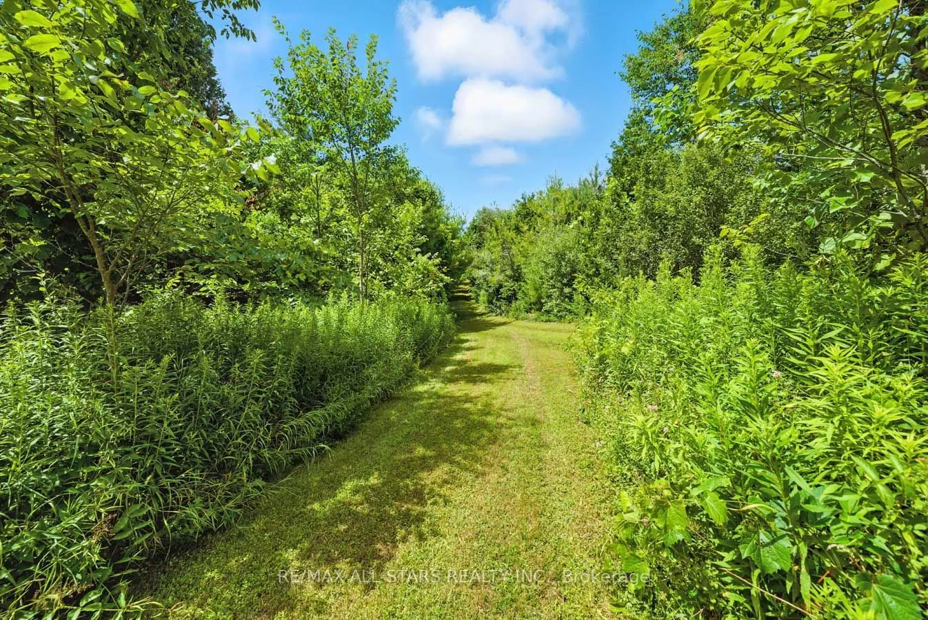 8287 Allin Road