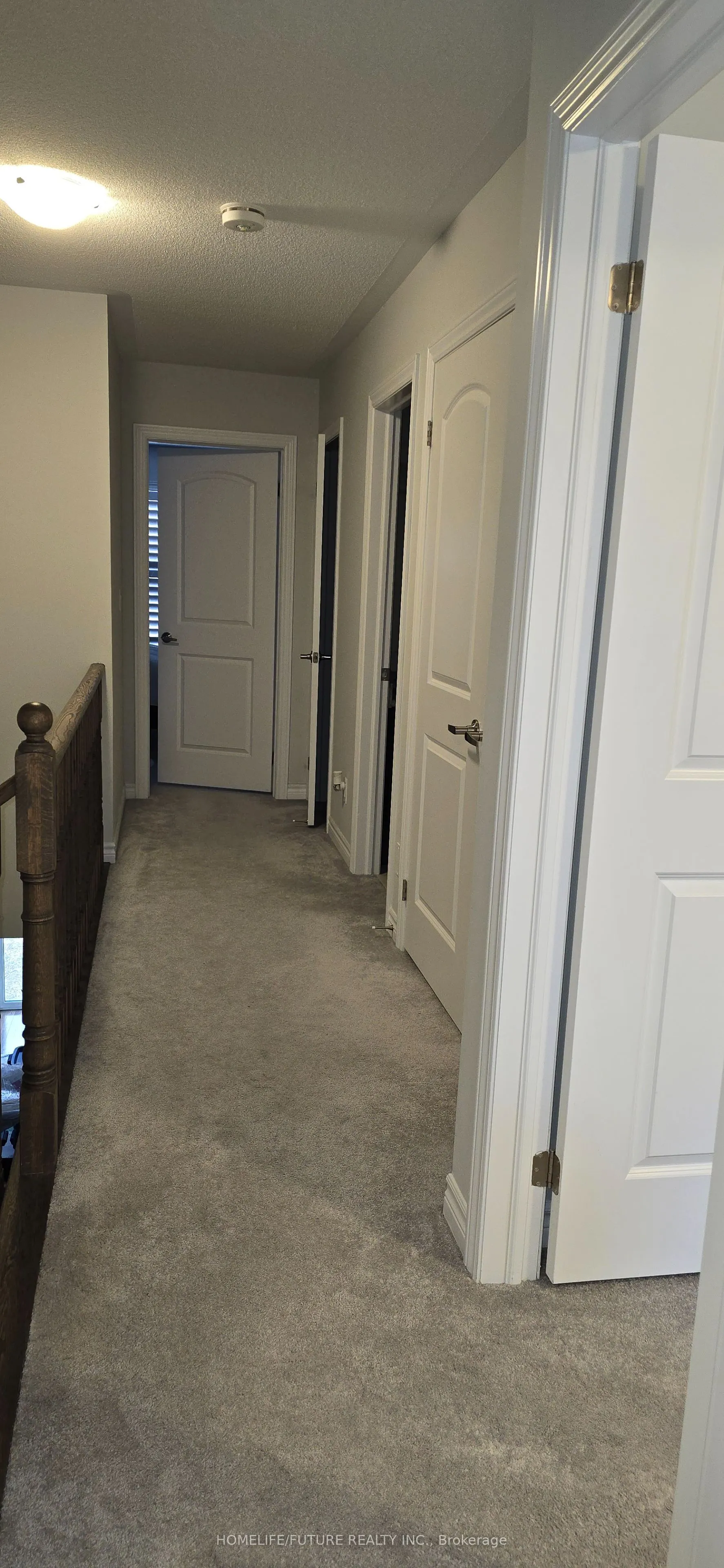 41 Sutcliffe Drive