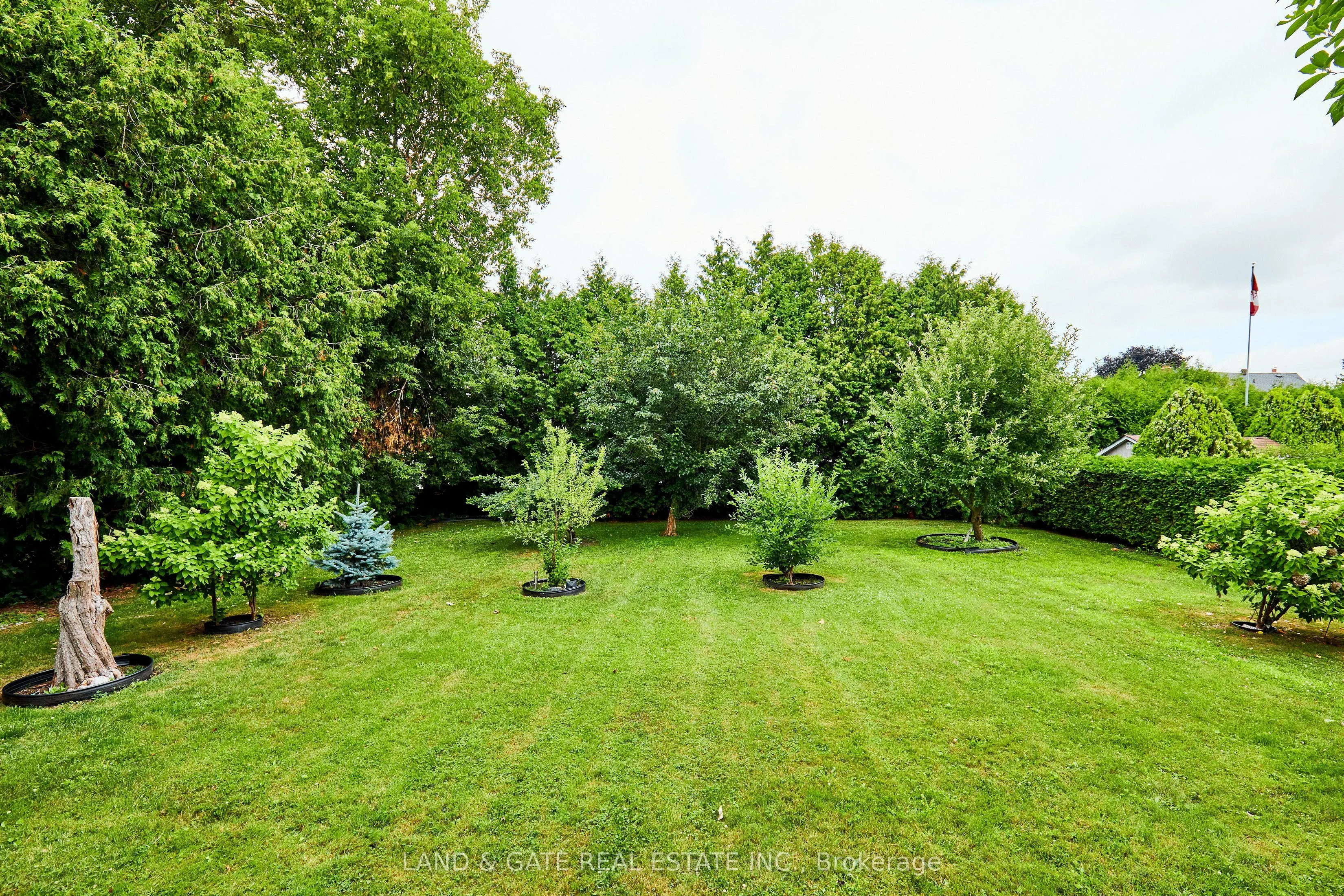 854 Regent Drive